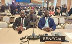 Sénégal–UNESCO : Une contribution stratégique à Samarcande, pour renforcer la Priorité Afrique avec Vision Sénégal 2050