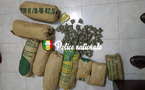 Saisie de 9kg de cannabis par la BRS de Louga