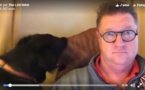 Cet homme voulait simplement regarder les infos. Mais ce qui se passe derrière lui est trop drôle!