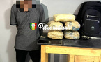 Sédhiou : Un individu interpellé avec 20 kg de chanvre indien