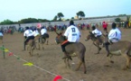 Course d'ânes à Thiès le 3 avril