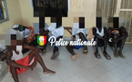 Sédhiou : Huit individus interpellés pour vol de bétail et abattage clandestin