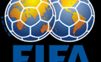 Remplacement de Amaju Pinnick par Chris Giwa :  La Fifa menace le Nigéria de suspension
