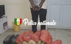 Saisie de 25,5 kg de chanvre indien à Fatick : Un individu interpellé