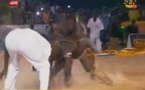Vidéo-Baboye terrasse  Baye Mandione,  regardez