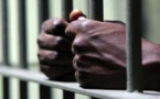 Détention et trafic de drogue : un mandat d'arrêt international et 15 ans de travaux forcés pour un trafiquant gambien