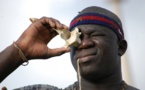 Vidéo : Retour dans l’arène après 3 ans, Yékini va-il faire du Baboye ou du Tyson?