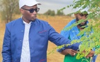Bassirou Hamédine Sy, président de « Podor Vert » : Une fibre écologique au cœur du développement communautaire au Fouta