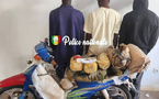 Kolda : trois individus interpellés avec plus de 5 kg de chanvre indien