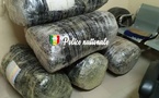 Trafic de drogue : l’OCRTIS met la main sur 196 kg de chanvre indien à Thiès