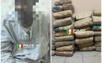 Lutte contre le trafic de drogue : La BRS de Kaolack intercepte 55 kg de chanvre indien