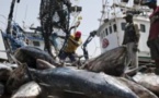 "La pêche illicite non déclarée et non réglementée nous fait perdre 150 milliards par an", selon Oumar Guèye