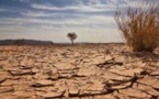 Changement climatique : Le Dg de l’Anacim prône une "approche globale"