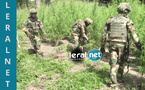 Sénégal : Un militaire tué et 6 blessés lors d'un affrontement à Kadialock (frontière Gambie), ce matin