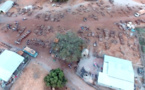 Un drone filme le pillage par la Chine des dernières forêts du Sénégal 