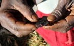 140 millions de femmes sont excisées à travers le monde, selon la présidente du réseau des femmes parlementaires de la Mauritanie