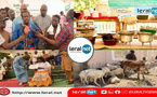 Agri-Jeunes : 100 jeunes agripreneurs financés et certifiés