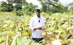 Campagne agricole 2026 : le Sénégal sécurise ses intrants et renforce sa souveraineté alimentaire
