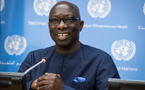 Abdoulaye Wade : un fabuleux destin ( Adama Dieng )