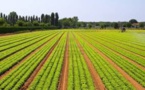 Enquête nationale sur les métiers dans le secteur agricole et rural : Les entreprises priées de collaborer