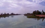 Non à la mort programmée du fleuve Sénégal et de ses affluents - Par Dr Ousmane Aly Pame