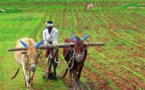 Projet écovillages : Le modèle sénégalais inspire le Burkina Faso