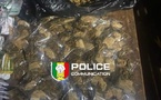 Coup de filet à Kédougou : plus de 2 000 comprimés de Tramadol et du Kush saisis