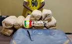 Ziguinchor : un individu arrêté avec 12 kg de chanvre indien
