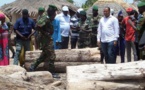 Le ministère de l’environnement du Sénégal : une institution en hibernation (Par Dr Ousmane Aly Pame)