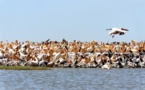 1ère Edition du concours sur le tourisme durable : Orni Tourisme Sénégal séduit le jury