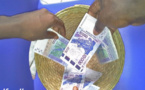 Des Sénégalais basés aux USA lancent «Jaappale», une plateforme de financement participatif