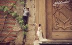 Ce photographe de mariage fait des clichés de couples en version miniature avec une créativité impressionnante !