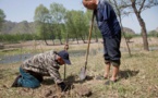 Deux Chinois plantent une forêt malgré leur handicap