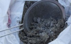 15 utilisations insoupçonnées de la cendre de bois !