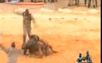 Vidéo– Lutte: Sa thiès bat Siteu . Regardez