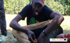Bologne en Italie : Meurtre d’un Sdf Sénégalais, poignardé par un Algérien