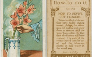 18 astuces vieilles de 100 ans qui peuvent être utiles aujourd'hui.