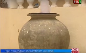Frigo et congélateurs bousculent le bon vieux canari