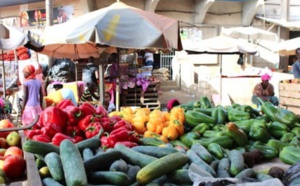 Castors : Les prix des légumes flambent