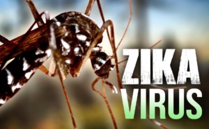Eva Marie Coll Seck sur le virus Zika : « Il faut que nous soyons prêts car ces maladies sont présentes dans les pays voisins »