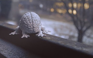 National Geographic | Notre intelligence dévoilée 