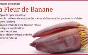 Avantages pour la santé de manger la fleur de banane