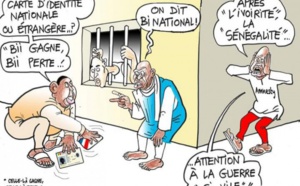 Une fois élu, le candidat renoncera à toute autre nationalité avant de prêter serment. Et c’est tout !!! - Par Marvel