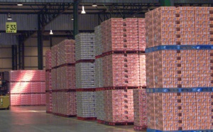 Parmi les ingrédients secrets du Coca Cola, de la cocaïne ?