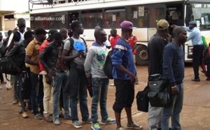     Emigration: l'Algérie sur le point de rapatrier près de 1500 sénégalais