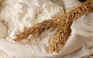 Farine de blé : Baisse de 3 FCfa du prix du kg en août 2016