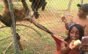 Quand vous faites selfie dans un zoo évitez la jalousie des...