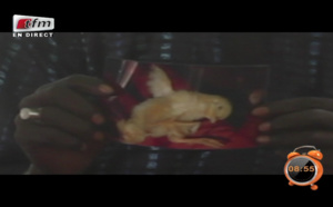 Vidéo : Révélation trop mystérieuse : Béssel  Basse nous montre un coq avec 4 pattes