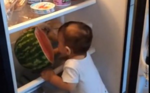 Vidéo: Bébé et la pastèque dans le frigo
