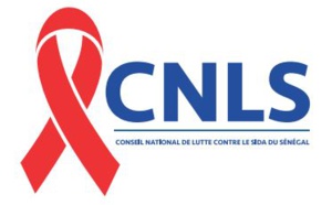 Le CNLS effectue une revue à mi-parcours du Plan Stratégique National 2014-2017